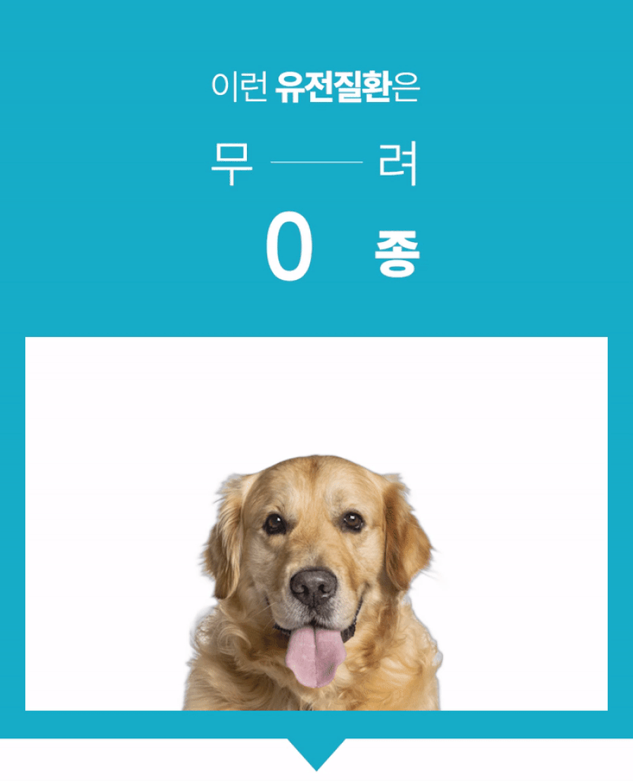 기존 메인페이지 유전질환 검사 상세 안내 11
