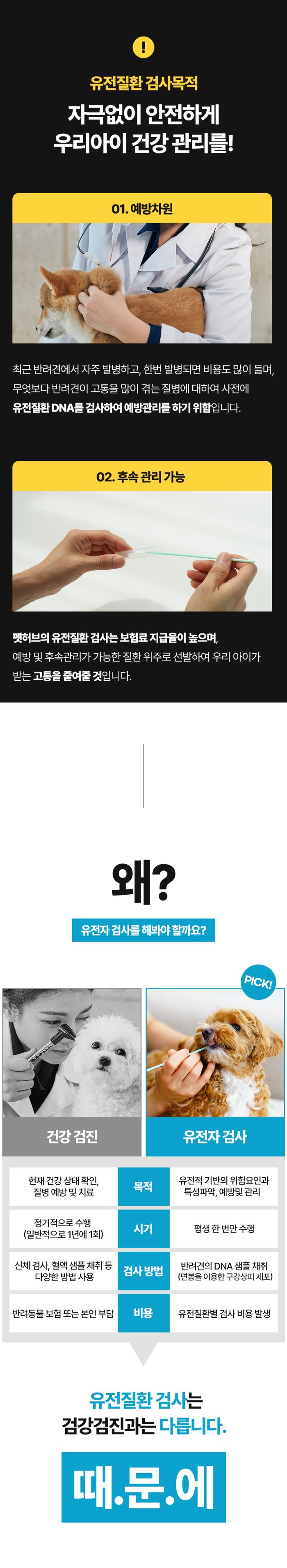 기존 메인페이지 유전질환 검사 상세 안내 17