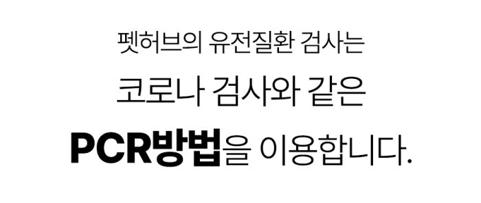 기존 키트 구매페이지 구성 및 검사 과정 2