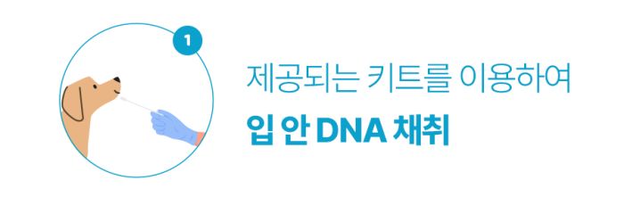 기존 키트 구매페이지 구성 및 검사 과정 3