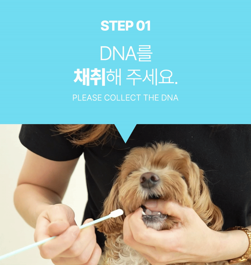 STEP 01 DNA를 채취해 주세요